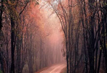 UED：挪威奥运冠军之父否认虐待子女：“我只是过度保护”环球时报.