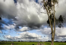 舒梅切尔的暖心安慰？霍伊伦：他帮了我很多，之前他也经历过.