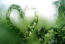 UED：德佩谈造点：勒诺尔芒只注意到了我，而不知道球在哪里.