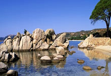 斯基拉：若无缘下赛季欧冠，尤文可能不会买断小.